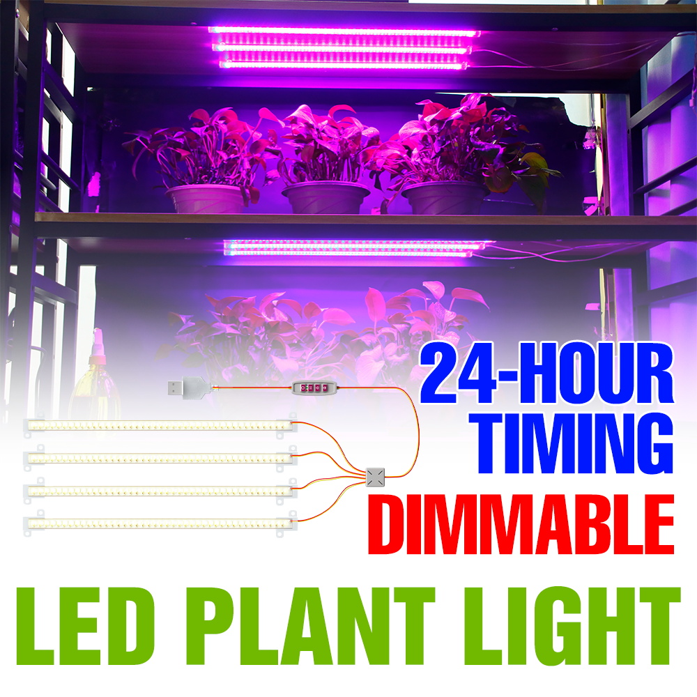 Echeveria Succulent - Barra de Luz LED para Plantas