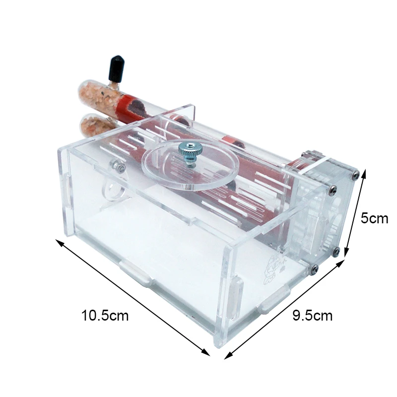 DIY Ant Farm 2 uds 18-180mm ni - Begonia Rex reseña y precio